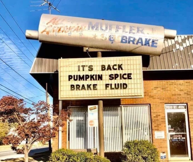 Funny Photos 11-15-2019 #8