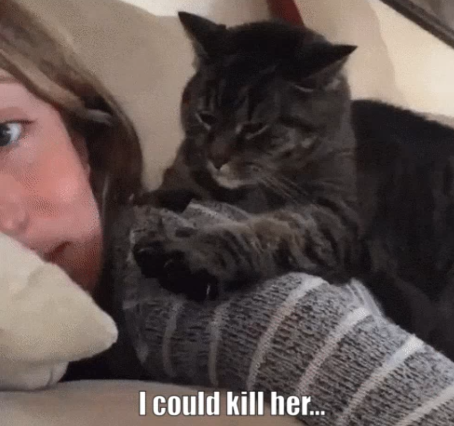 Funny Photos 11-15-2019 #9