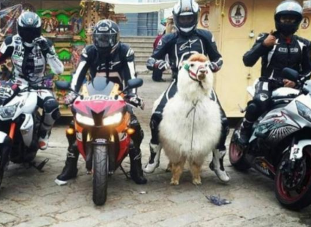 Funny Photos 11-20-2019 #20