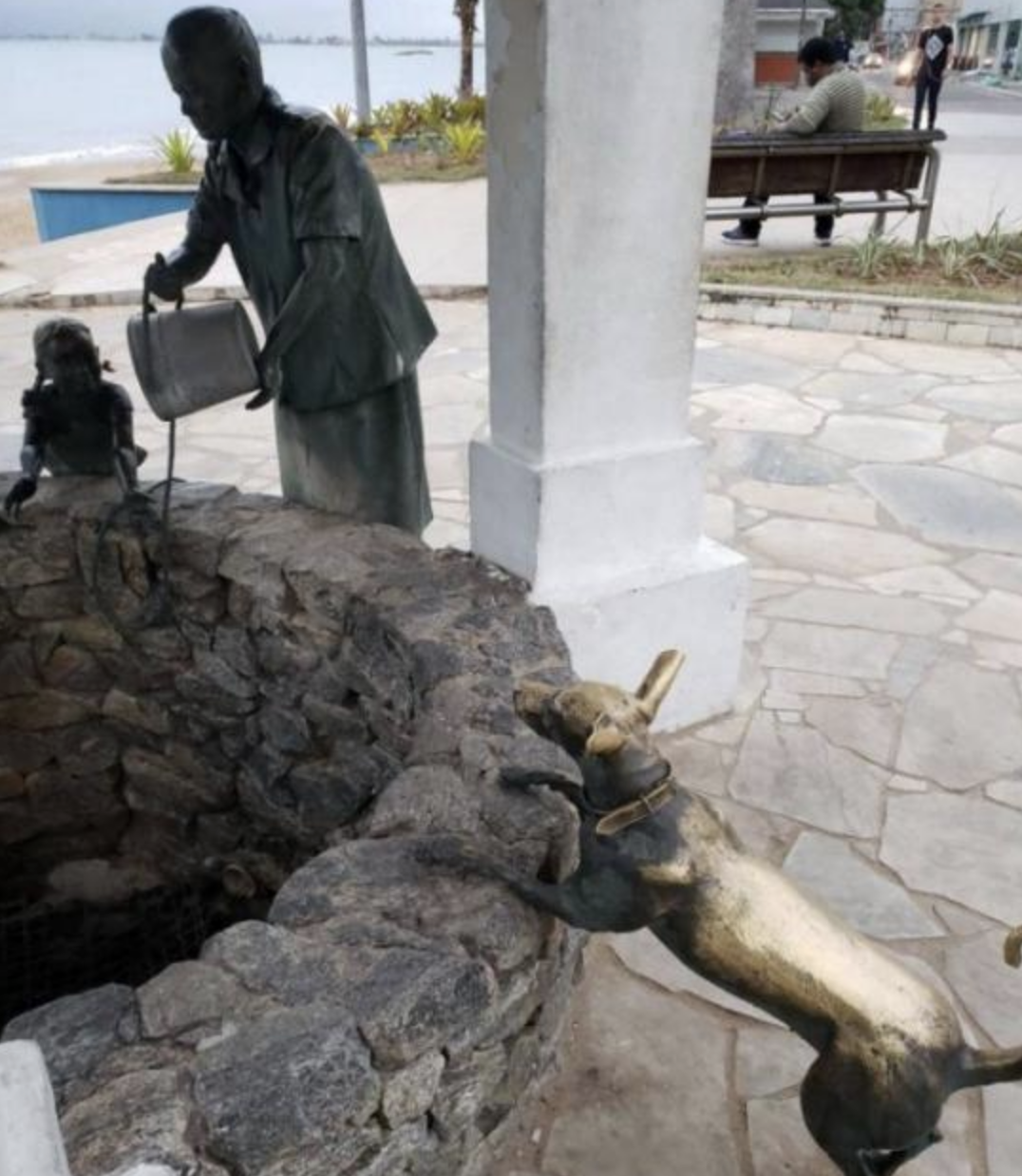 Funny Photos 11-26-2019 #3