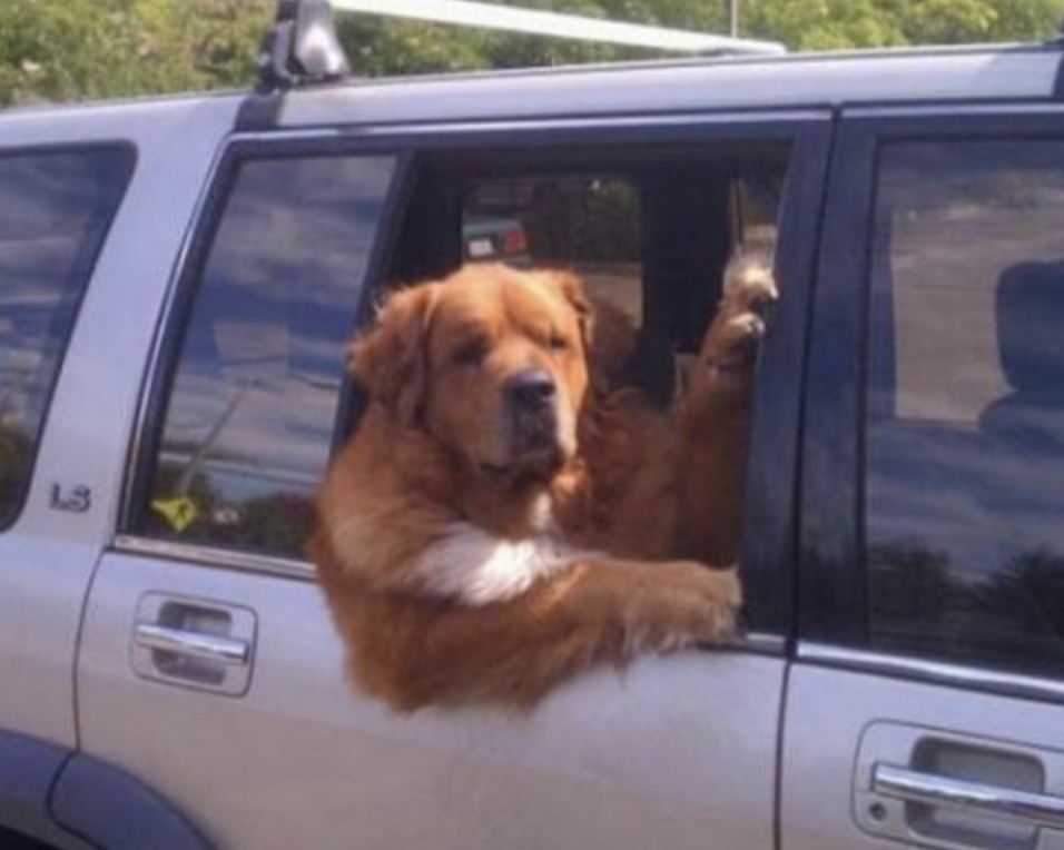 Funny Photos 11-26-2019 #11