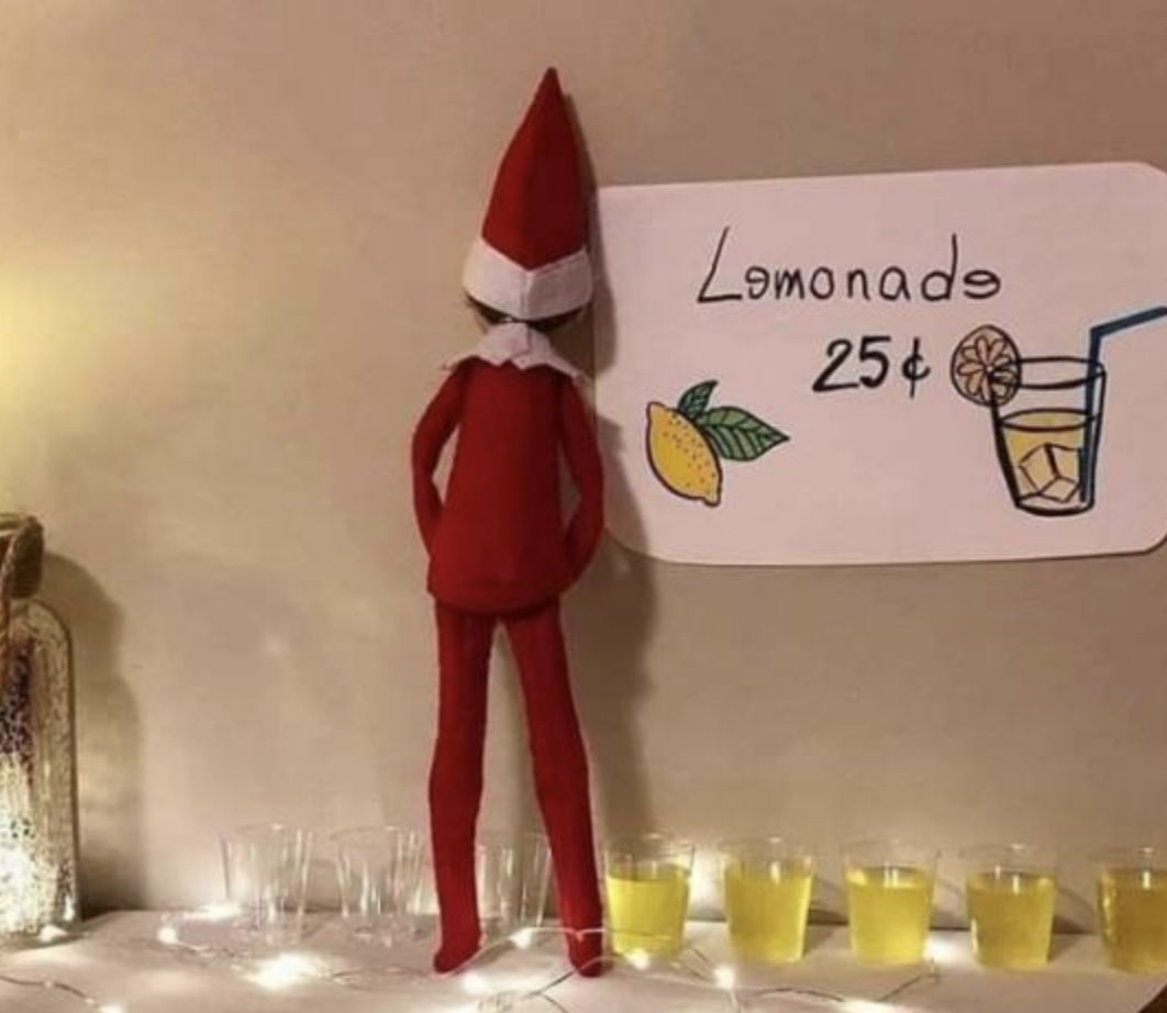 Funny Photos 11-26-2019 #12