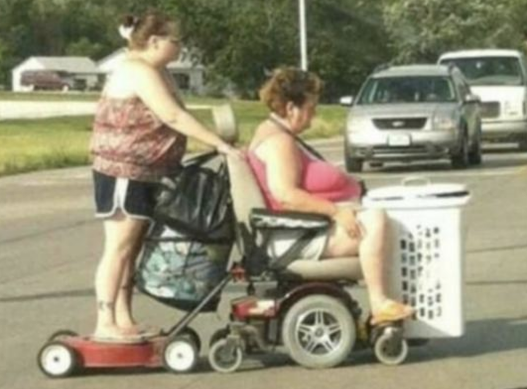 Funny Photos 11-26-2019 #15