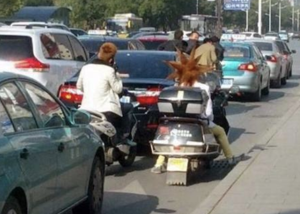 Funny Photos 11-29-2021 #2