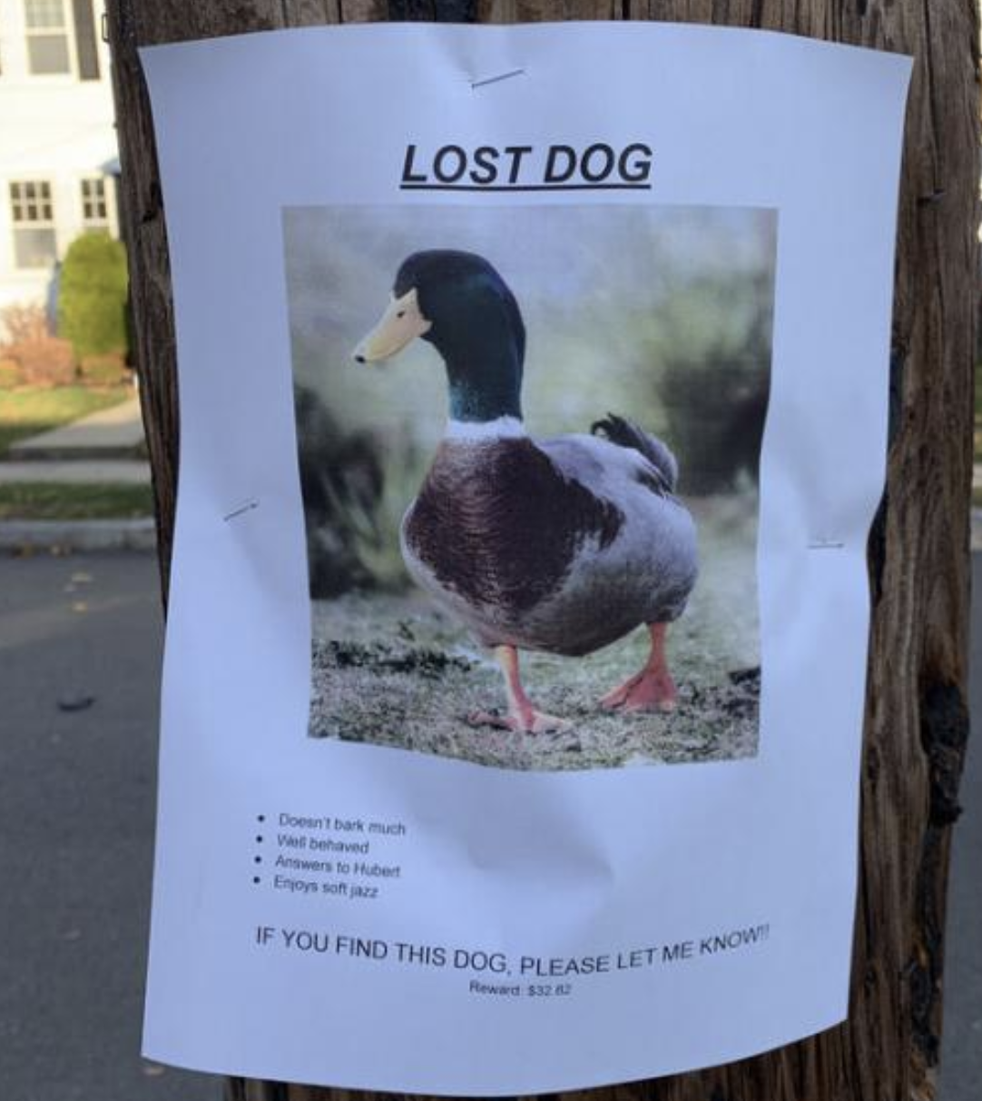 Funny Photos 11-29-2021 #19