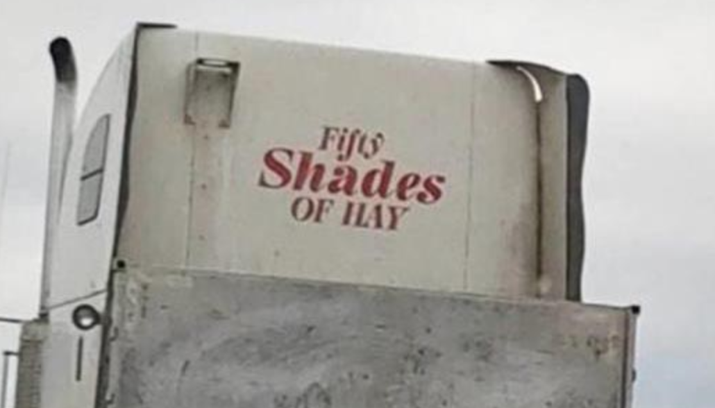 Funny Photos 12-04-2020 #11