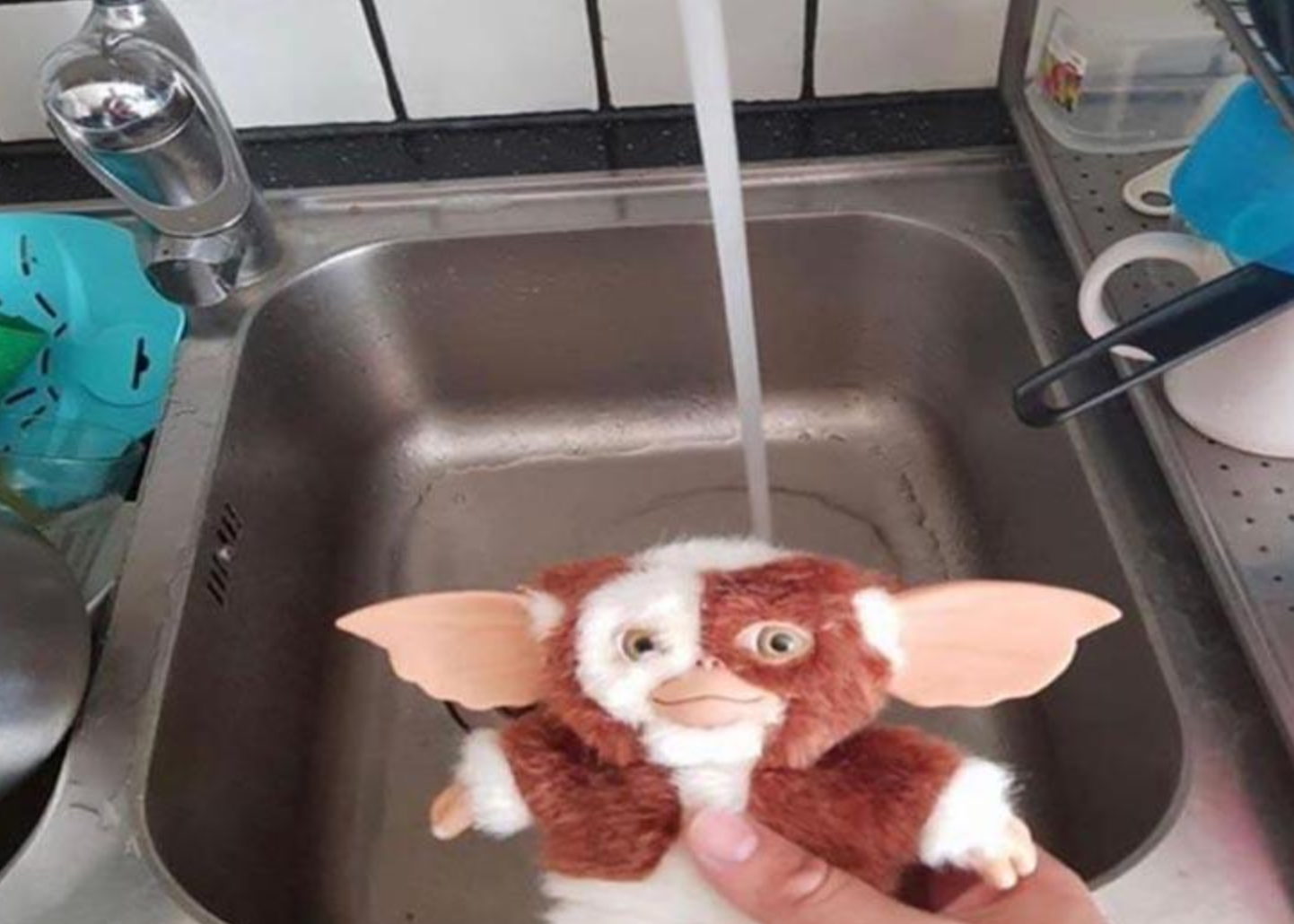 Funny Photos 12-24-2020 #17