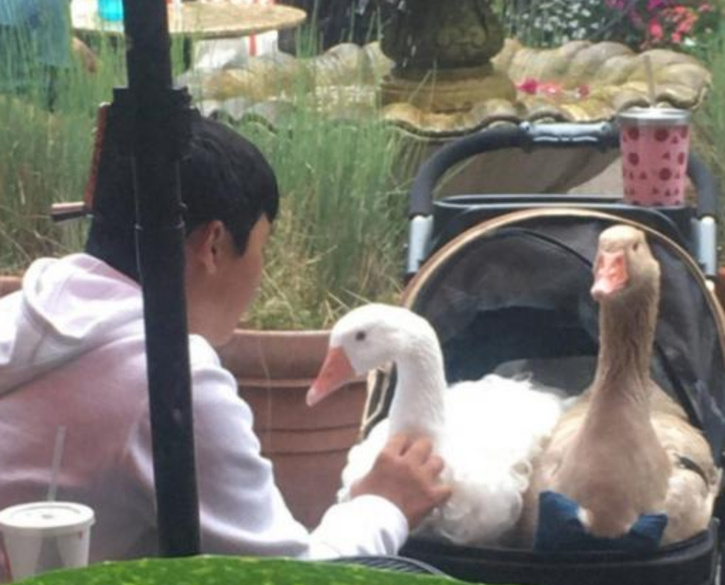 Funny Photos 9-13-2019 #2