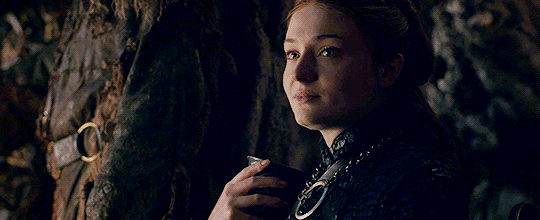 Sansa has her own plans.