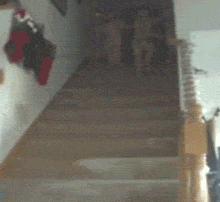GIFs of the Week 01-22-2020 #3