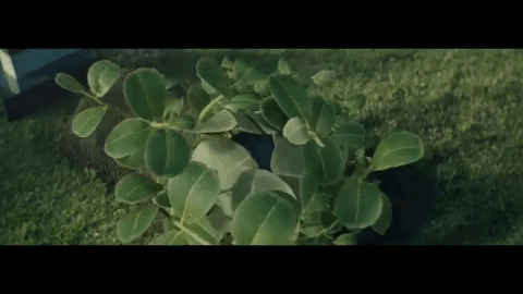 GIFs of the Week 02-05-2020 #6