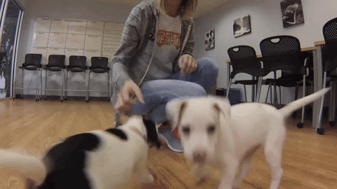 GIFs of the Week 03-24-2021 #11