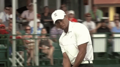 GIFs of the Week 04-06-2022 #11
