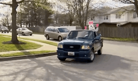 GIFs of the Week 04-15-2020 #2