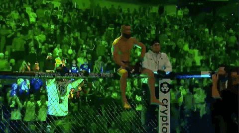 GIFs of the Week 04-20-2022 #15