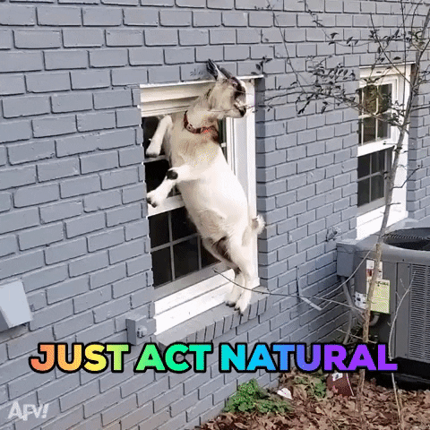 GIFs of the Week 04-29-2020 #14