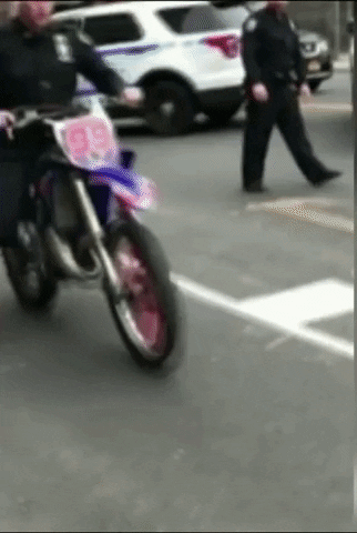 GIFs of the Week 06-17-2020 #12