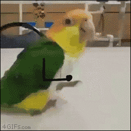 GIFs of the Week 06-30-2021 #12