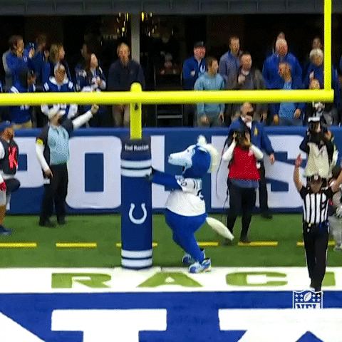 GIFs of the Week 11-10-2021 #10