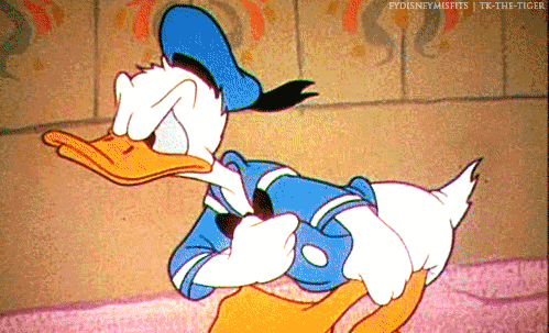 19. Donald Duck