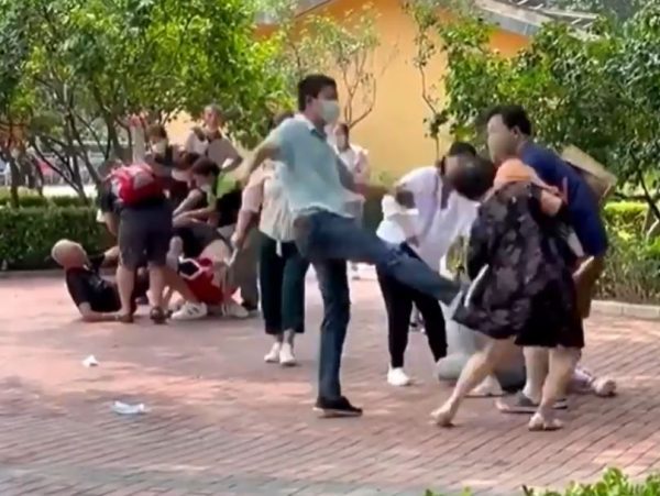 Meanwhile in China: Zoo Brawl Breaks Out, Animals Wonder Why They’re the Ones Behind Bars (Video)
