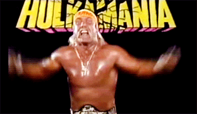 Hulk Hogan Gifs #1