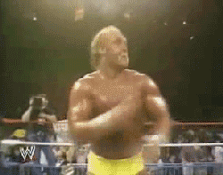 Hulk Hogan Gifs #4