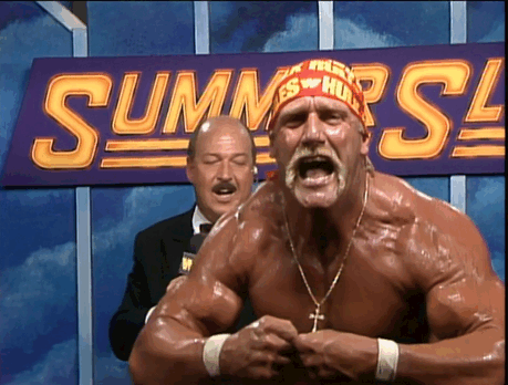 Hulk Hogan Gifs #7