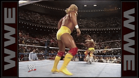 Hulk Hogan Gifs #9
