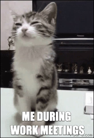 Mandatory GIFs of the Week 2-20-2019 #13