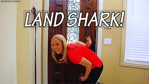 Mandatory GIFs Shark Week Edition #14