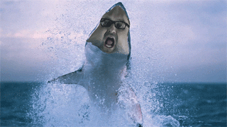 Mandatory GIFs Shark Week Edition #15