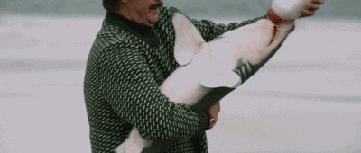 Mandatory GIFs Shark Week Edition #17