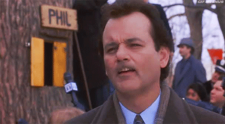 Mandatory GIFs of the Week Groundhog Day Edition #4