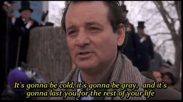 Mandatory GIFs of the Week Groundhog Day Edition #7