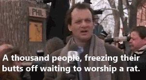 Mandatory GIFs of the Week Groundhog Day Edition #8