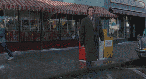 Mandatory GIFs of the Week Groundhog Day Edition #12