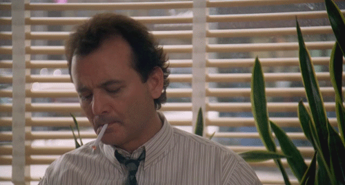Mandatory GIFs of the Week Groundhog Day Edition #14