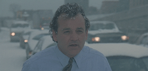 Mandatory GIFs of the Week Groundhog Day Edition #16