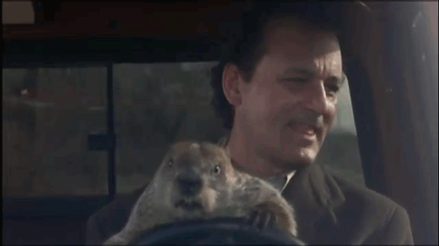 Mandatory GIFs of the Week Groundhog Day Edition #20