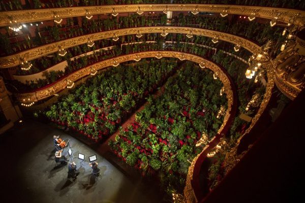 Mandatory Good News: Opera House Reopens Doors to a Full House of…House Plants