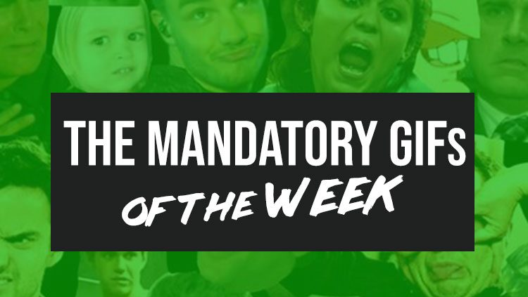 Mandatory GIFs of the Week 2-20-2019