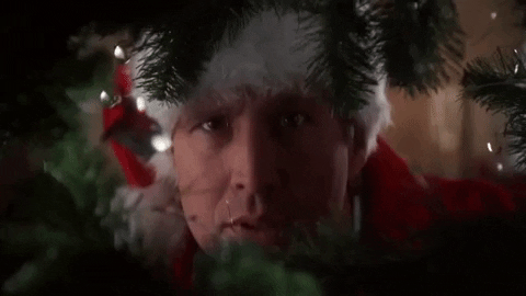 'National Lampoon's Christmas Vacation'