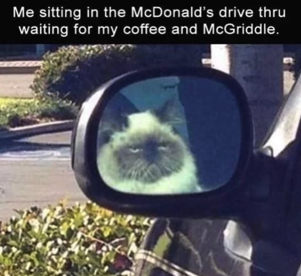 Mandatory Monday Memes 5-27-2019 #14