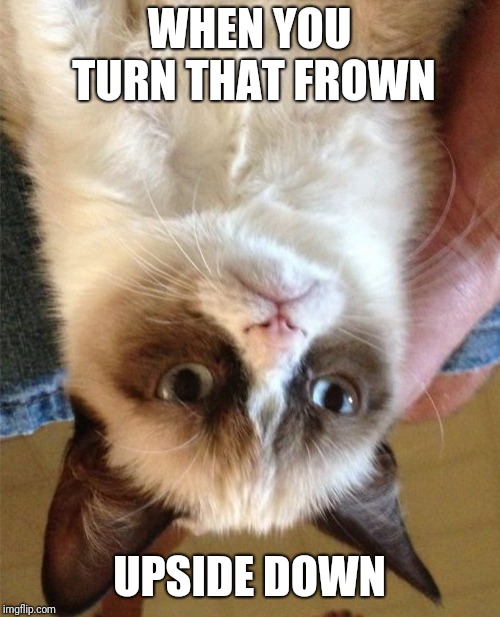 Mandatory Monday Memes RIP Grumpy Cat #5