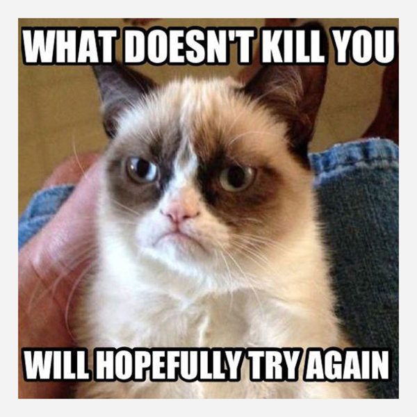 Mandatory Monday Memes RIP Grumpy Cat #2