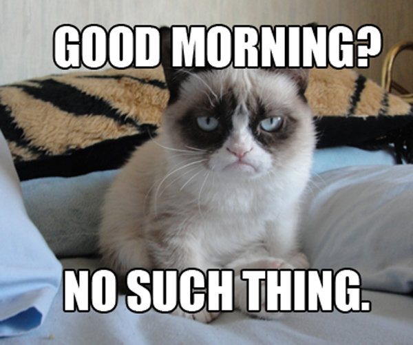 Mandatory Monday Memes RIP Grumpy Cat #3