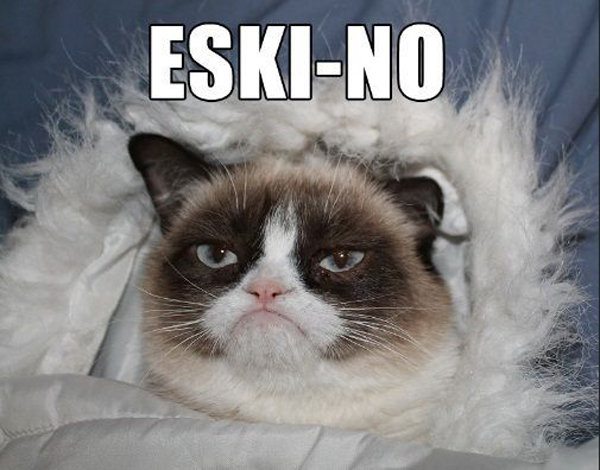 Mandatory Monday Memes RIP Grumpy Cat #4