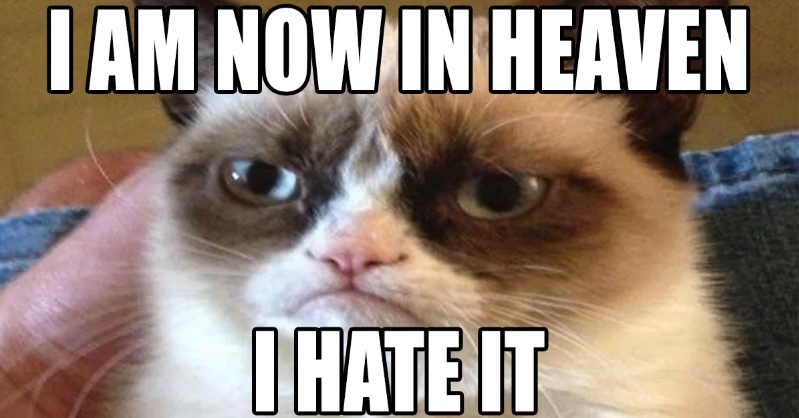 Mandatory Monday Memes RIP Grumpy Cat #10