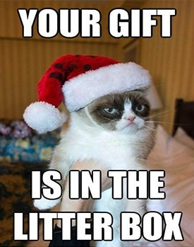 Mandatory Monday Memes RIP Grumpy Cat #13